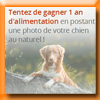 YUMMYPETS - CONCOURS REALDOGS [48691]